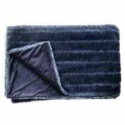 topnews.in Blanket