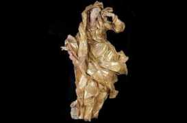 segodnya.ua Blazewski