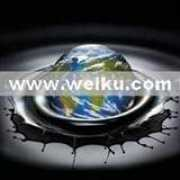 wk101230287.company.weiku.com Blco
