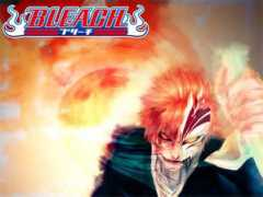Bleach