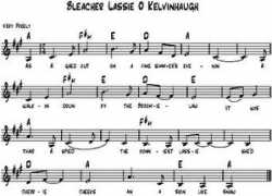 dickgaughan.co.uk Bleacher