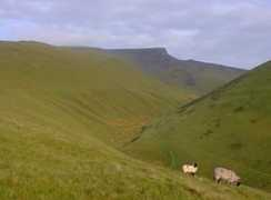 Blenc