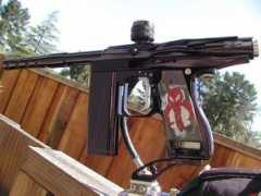 zakvetter.com Blenn