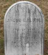 Bliem