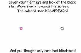 thefunnybox.com Blindspot