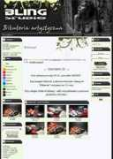 internetowe-sklepy.pl Blings