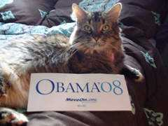 catsforobama.com Blinkie