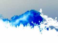 sc8.net Bluecloud