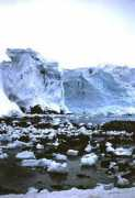 Blueice