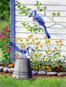 porterfieldsfineart.com Bluejays