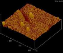 typei-rm.info Blunde