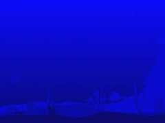 Blusea