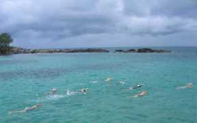 bmsa.09.free.bm Bmsa