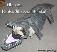 komik.cz Bobika
