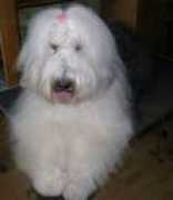 Bobington