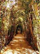 florencephotos.com Boboli
