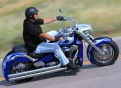 metricthunder.com Bobster