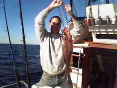 bocapix.com Bocaccio