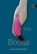 Bocas