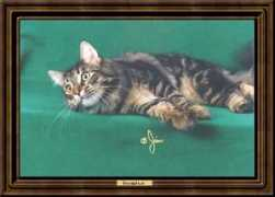 Bocephus