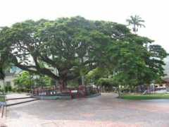Bochalema