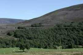 glenlivet-wildlife.co.uk Bochel