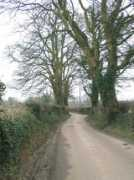 geograph.org.uk Bodden