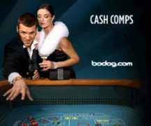 chipsforfree.com Bodog