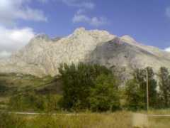 Bodon