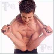 featurepics.com Bodybuilder