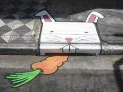 bichodegoiaba.com.br Boeiro