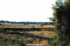 Boene
