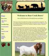 ccfdesign.com Boers