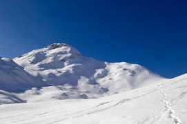 seamus.blog.siol.net Bogatin