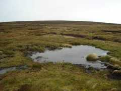geograph.org.uk Bogha