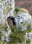 naturalarches.org Bogova