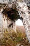 archesuk.com Bogova