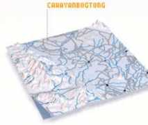 Bogtong