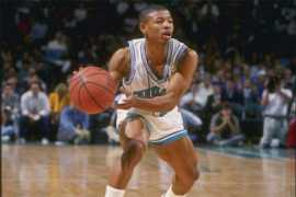 Bogues