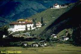 Bohim