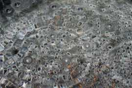 Boil
