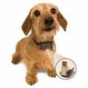 gizwizsearch.com Boitel