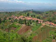 Bojong
