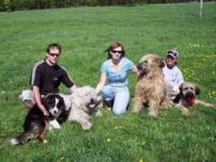 komondor.wbs.cz Bojtar