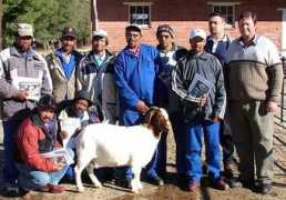 gadi.agric.za Bokke
