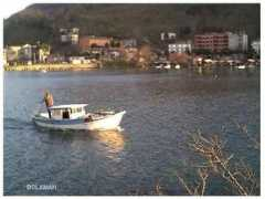 panoramio.com Bolaman