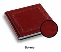 vladimir-citriak.eu Bolena