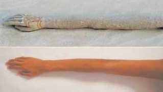 field-of-vision.net Boletta