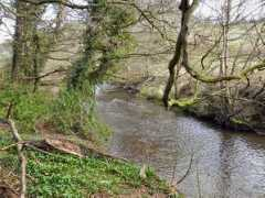 geograph.org.uk Bollin