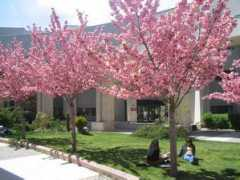 fen.bilkent.edu.tr Bolum